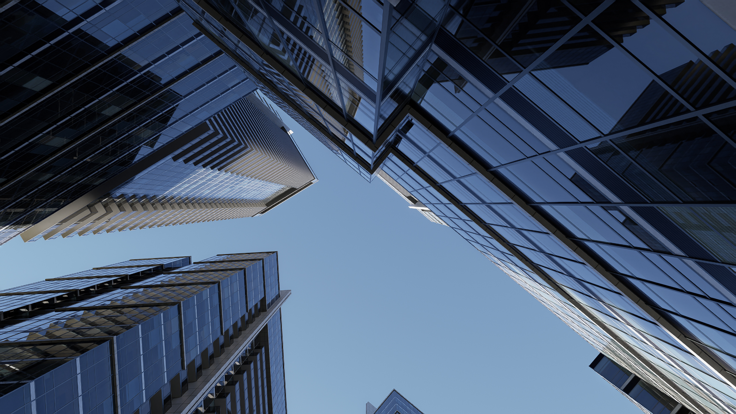 modern skyscrapper
